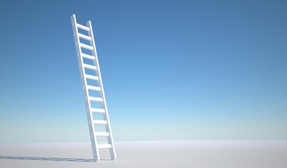 ladder